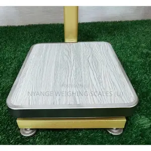 Best Selling Digital Weigh Scale Digital Weigh Accurate Weighing Scale