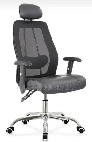 Extraordinary Office Chair With Adjustable Arms.