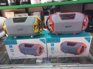 Wster 1833 / WS-1833