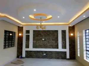 Gypsum Wallunit and Ceiling 50