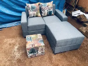 Mini Gray Two Seater