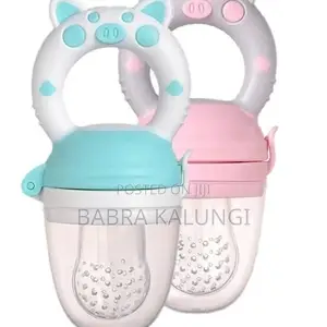 Baby Fresh Fruit Food Feeder