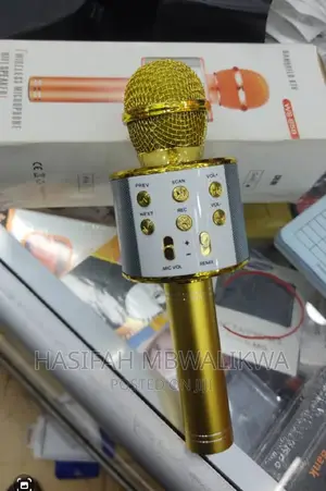 Wireless Microphone With Bluetooth Speaker