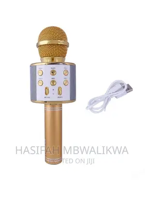 Wireless Microphone With Bluetooth Speaker