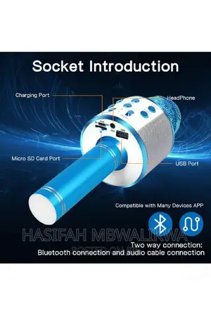 Wireless Microphone With Bluetooth Speaker