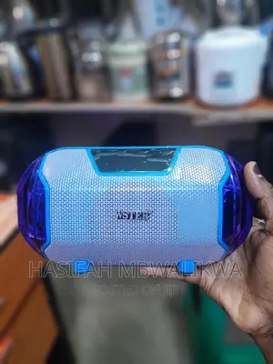 Wireless Speaker Ws- 1833