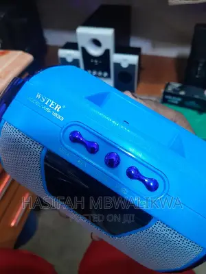 Wireless Speaker Ws- 1833