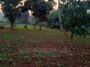 Land for Sale: 1 Acre in Sonde Namugongo