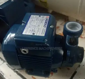Pedrollo Surface Water Pump 40m