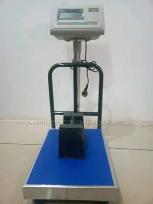 Stainless Steel Weigh Scale Commercial Weigh Platform Weighing Scale