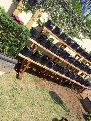 Vertical Garden