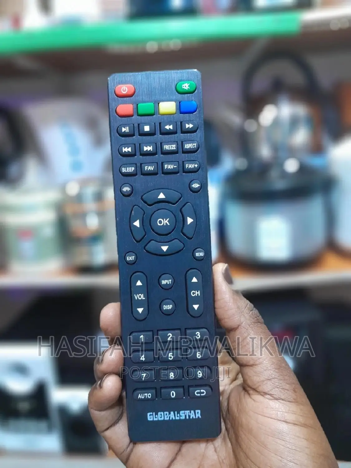 Globalstar TV Remote