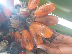 Fender Lights Mitsubishi Pajero 2010