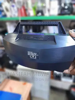 Portable Wireless Speaker P-30