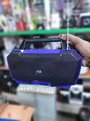 Portable Wireless Speaker P-30