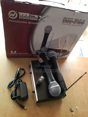Professional Microphone