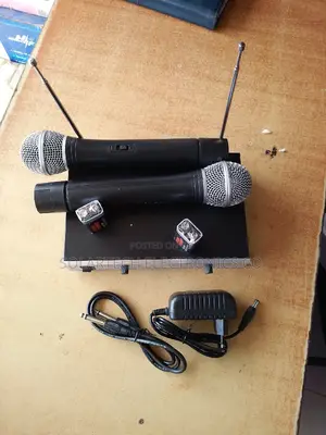 Professional Microphone