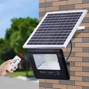 60w Original Flood Lights