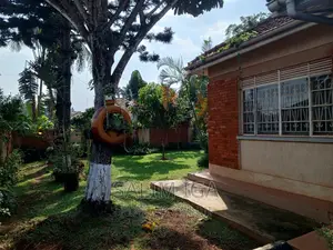 3bdrm Bungalow in Kololo Property, Central Division for rent