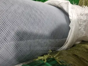 Plastic Mosquito Window and Ventilator Nets