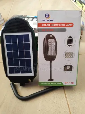 Original Solar Induction Lamp