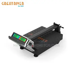 Platform Weighing Scales Supplier 100kg [5]