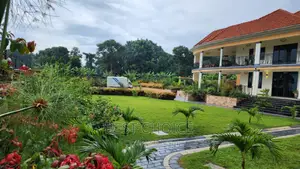 Expert Compound Designing Service