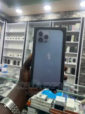 New Apple iPhone 13 Pro Max 128 GB Silver