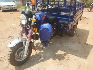 Tricycle 2023 Blue