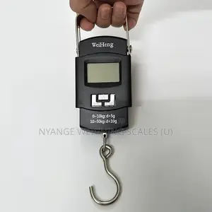 50kg Portable Electric Hanging Scale
