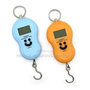 Mini Accuracy Digital Luggage Scale [29]