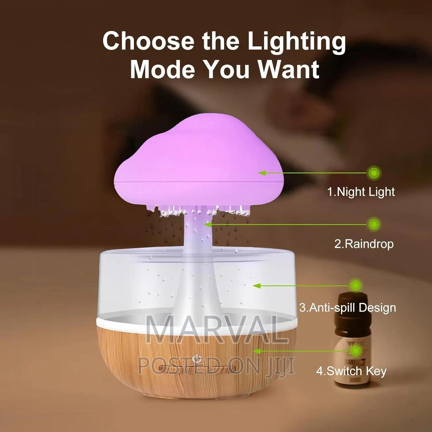 Round Electric Home Rain Cloud Diffuser