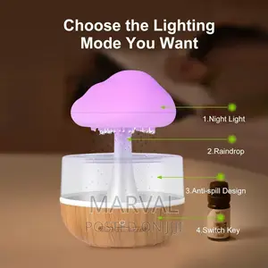 Round Electric Home Rain Cloud Diffuser