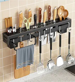 Multi Functional Kitchen Organizer