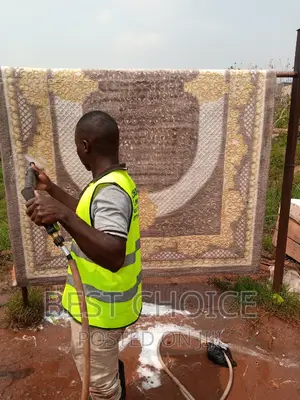 Passionate Carpet Cleaners With Pick Up and Delivery Service