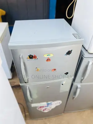 Double Door Freezer