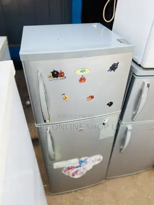 Double Door Freezer