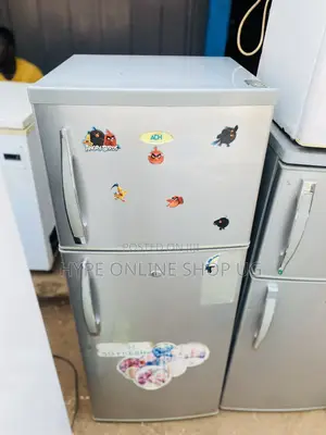 Double Door Freezer
