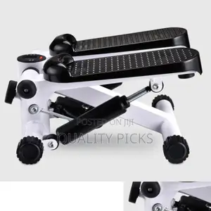 Fitness Mini Stepper
