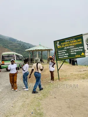 Tour and Travel Company