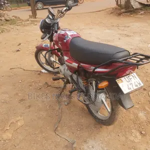 Bajaj CT 110X 2023 Red
