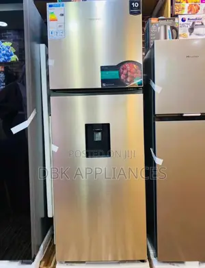 Hisense 419l Frost Free Double Fridge With Dispenser
