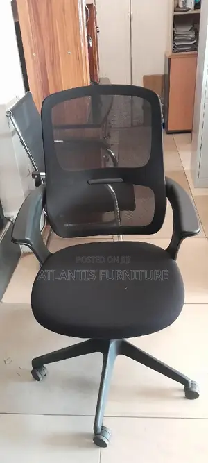 Dao Office Fabric and Netted Chair