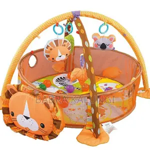 3 in 1 Lion Activity Gym and Ball Pot