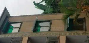 Window Canopy