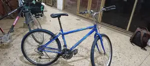 Adults Bicyclessss