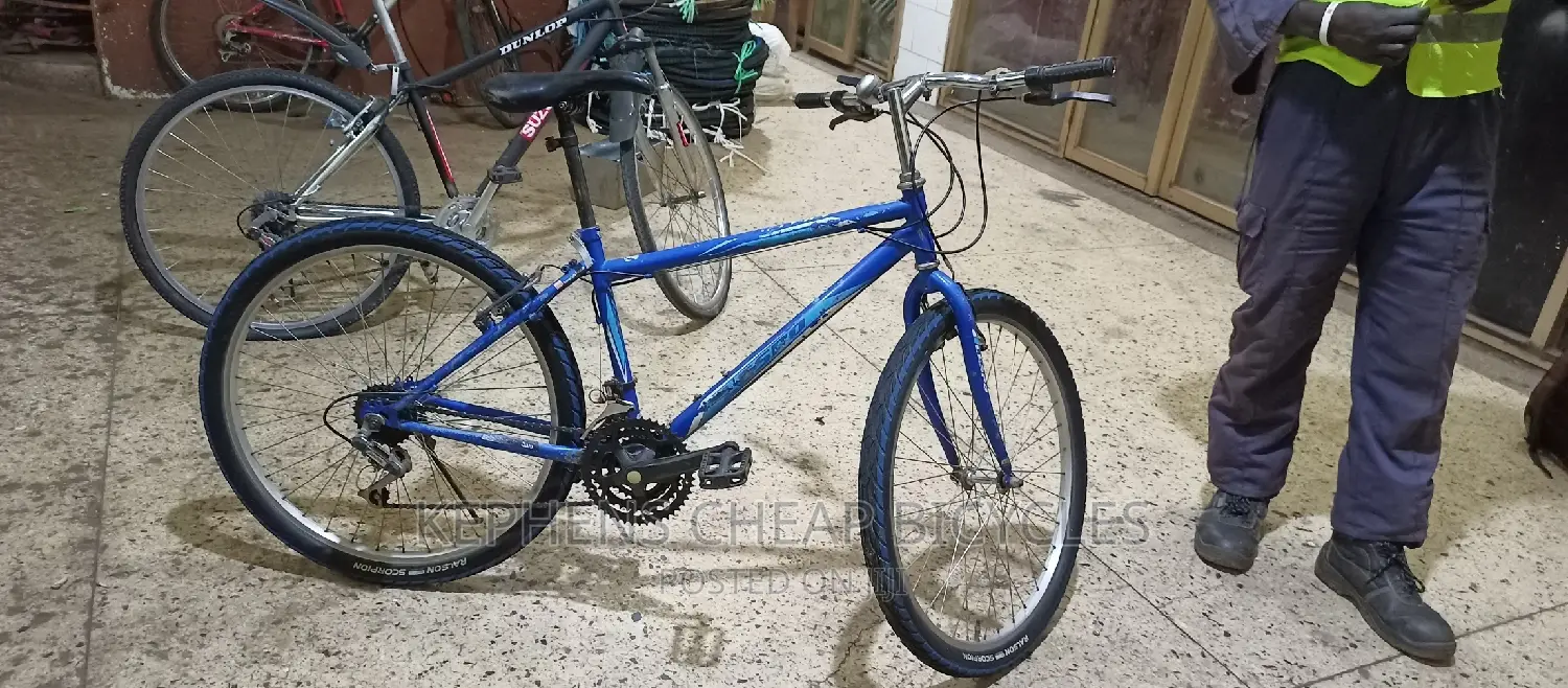 Adults Bicyclessss