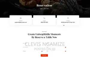 Website Designer and Developer