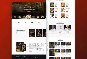 Website Designer and Developer