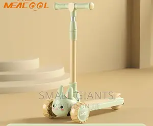 2 in 1 Foldable 3 Wheel Kids Scooter